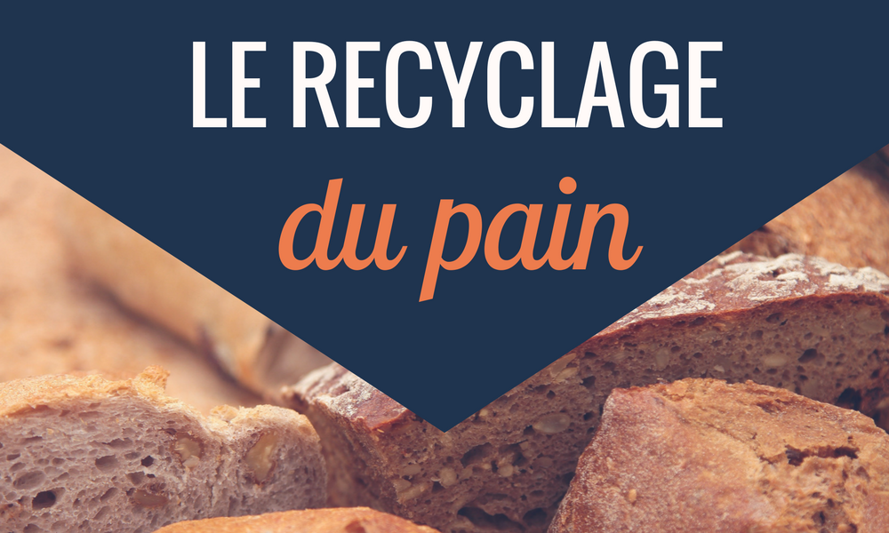 recyclage pain anti gaspillage